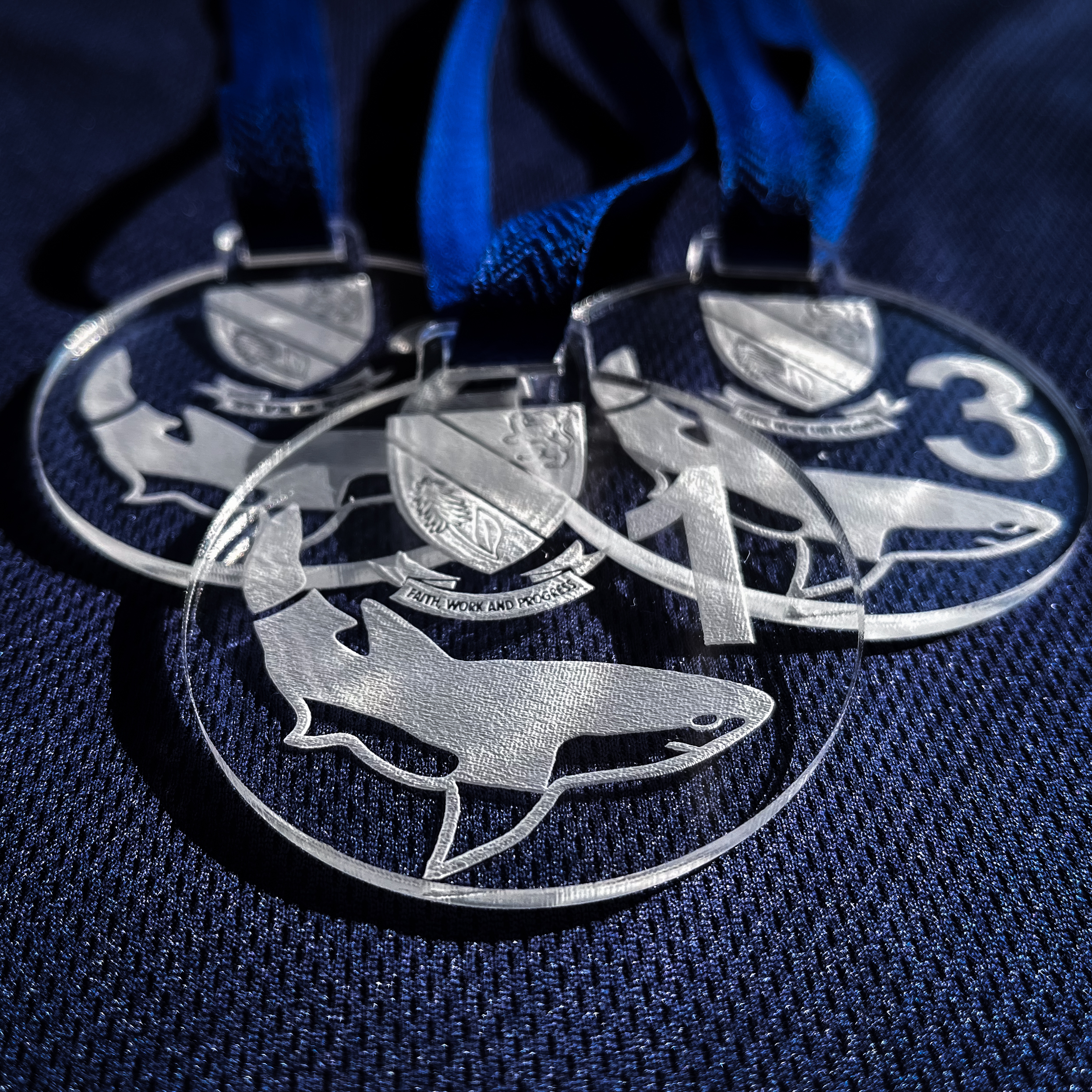 Custom medals and ribbons by Susan Reid Design